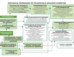 Экологические технологии в агрономии: устойчивое развитие через модернизацию
