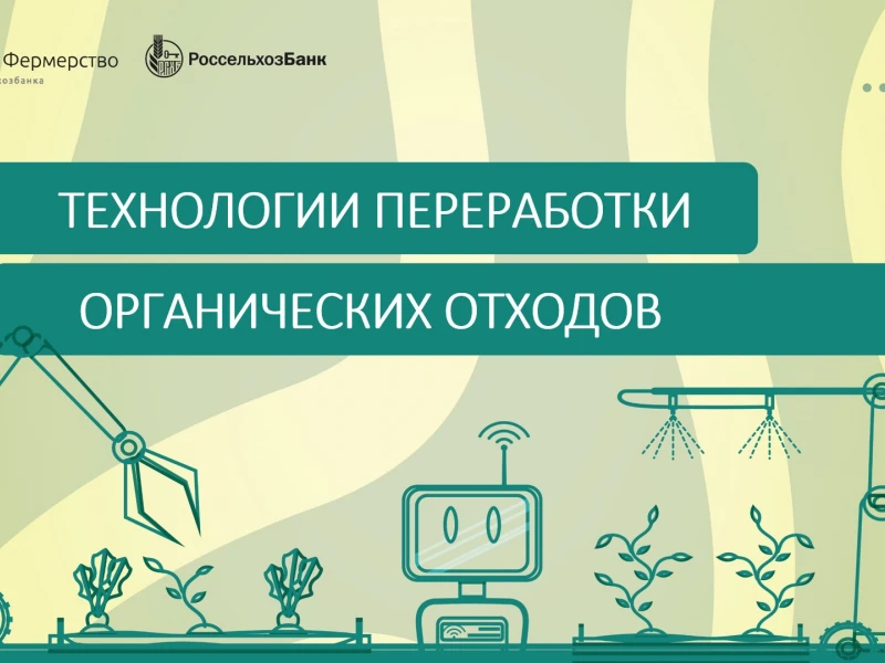 Эффективность и производительность: роль современного оборудования в аграрном секторе