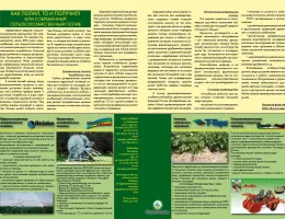 Эффективное использование сельхозтехники: секреты успешного ведения тепличного бизнеса