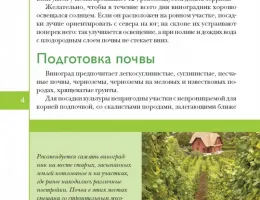 Эффективные решения для обработки виноградников: выбор техники