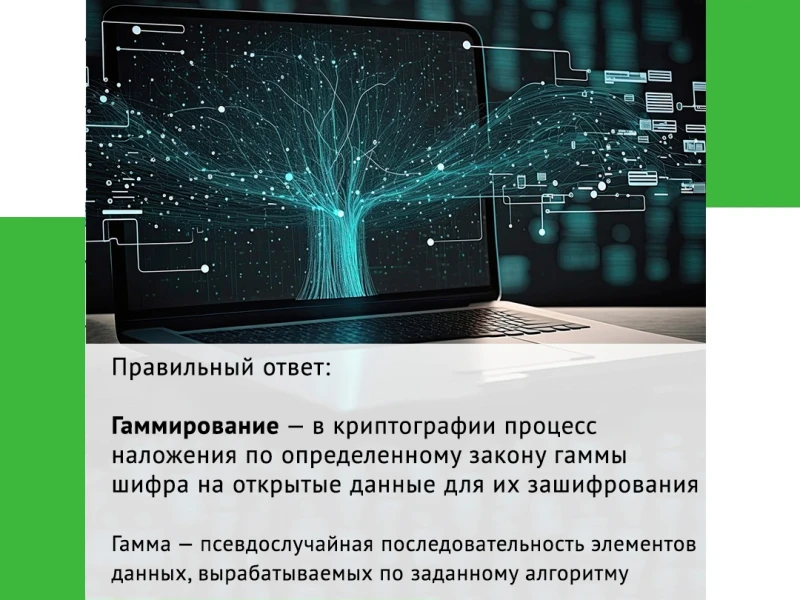 Эффективные решения для автоматизации процессов в виноградарстве и садоводстве