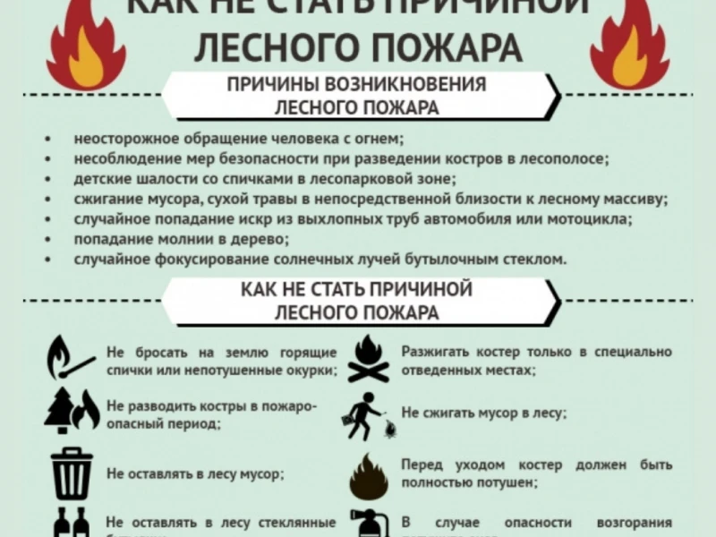 Выбор оборудования для лесного хозяйства: что нужно знать