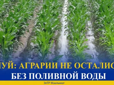Эффективные системы орошения для повышения урожайности