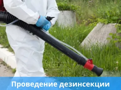 Эффективные методы борьбы с вредителями: выбор сельхозоборудования