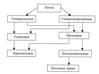 Выбор оборудования для эффективного виноградарства: советы и рекомендации