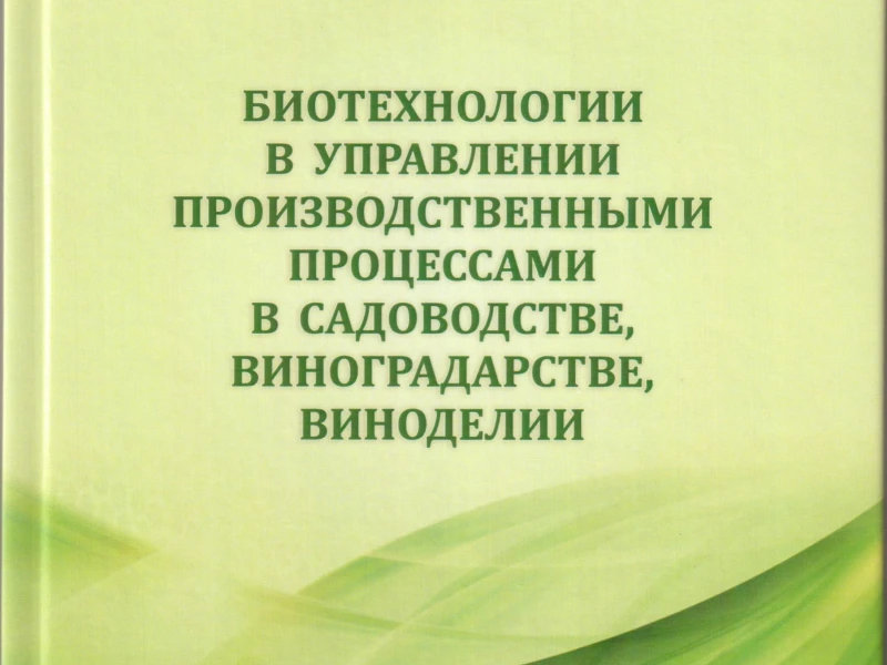Автоматизация процессов в виноградарстве: как техника меняет подход к агрономии