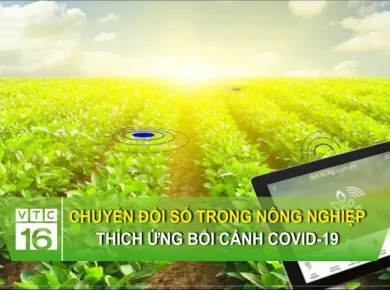 Современные технологии в сельскохозяйственном оборудовании для эффективных исследований