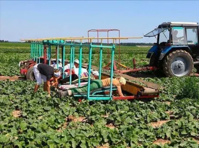 Инновационные технологии в сельском хозяйстве: от посева до сбора урожая