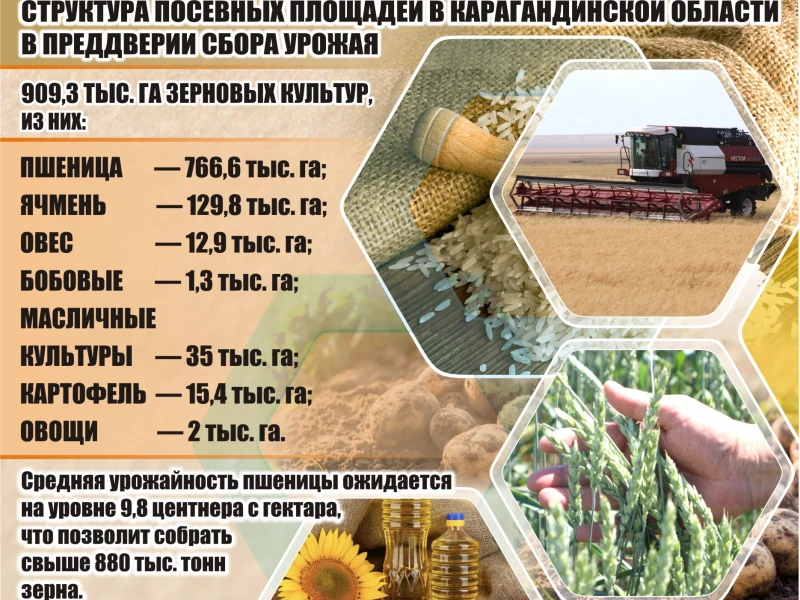 Эффективные методы эксплуатации тракторов для успешного ведения агробизнеса