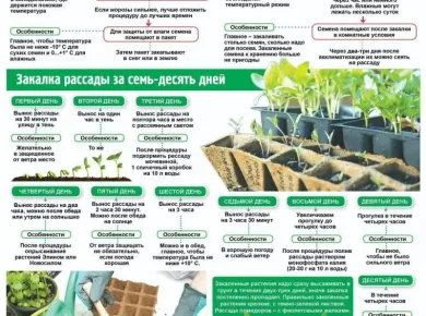 Сравнение моделей: Как выбрать идеальное оборудование для посева в современных условиях
