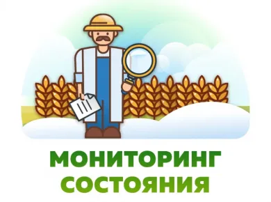 Эффективные методы посева: оборудование, которое изменит ваш подход к агрономии