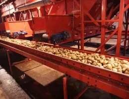 Современные технологии в сельхозтехнике: Как они меняют переработку продукции
