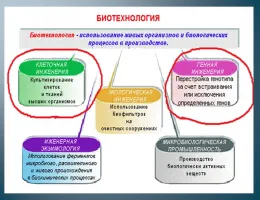 Эффективность и устойчивость: Роль сельхозтехники в биотехнологических процессах