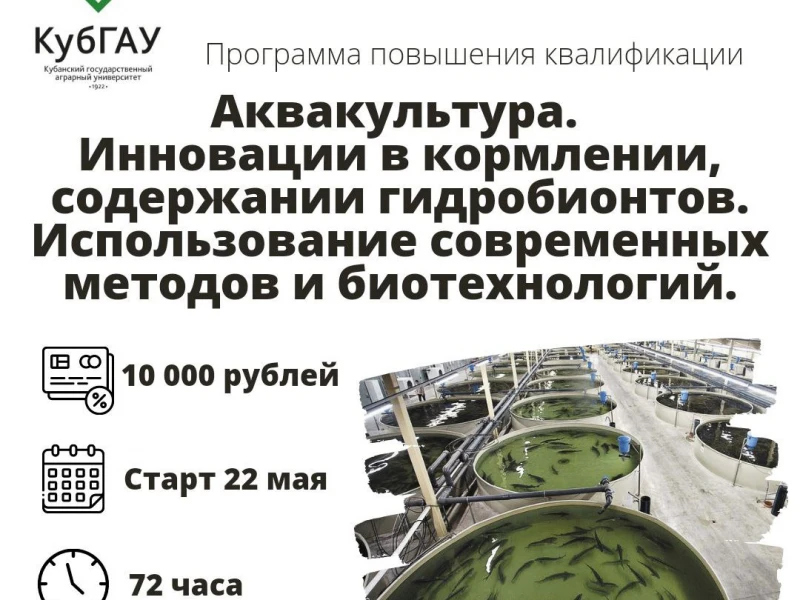 Инновационные технологии в сельском хозяйстве: Как оборудование меняет подход к аквакультуре