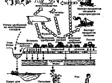 Экологические аспекты использования сельхозтехники в аквакультуре: Устойчивое развитие и продуктивность
