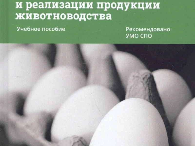 Выбор оборудования для эффективной транспортировки сельскохозяйственной продукции