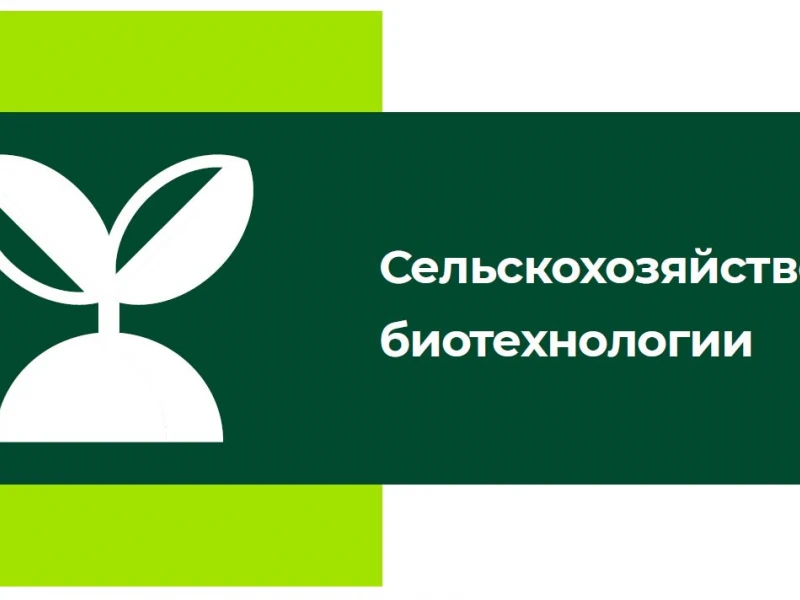 Будущее сельского хозяйства: как биотехнологии трансформируют сельхозтехнику