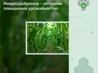 Эффективные методы повышения урожайности с помощью арендуемой техники