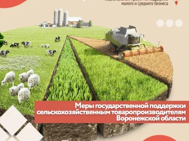 Тренды в аренде сельскохозяйственного оборудования: Что нужно знать