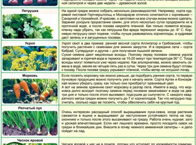 Как выбрать идеальное оборудование для посева: советы и рекомендации