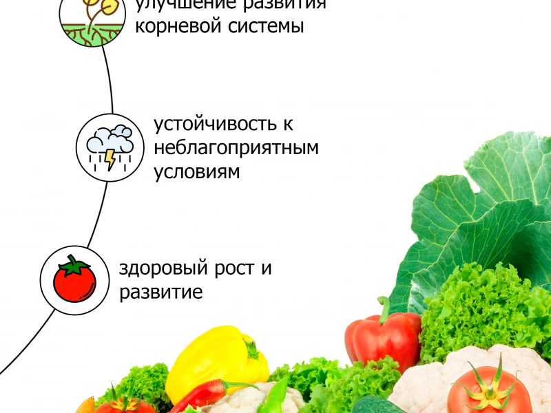 Преимущества использования арендованного оборудования для повышения урожайности