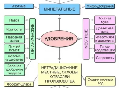 Современные решения для эффективного внесения удобрений в сельском хозяйстве
