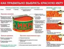 Как выбрать подходящее оборудование для кормозаготовки: советы и рекомендации