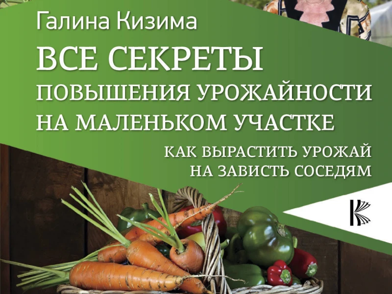 Как выбрать арендуемое оборудование для повышения урожайности