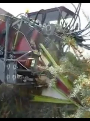 Сельхозтехника для сбора урожая