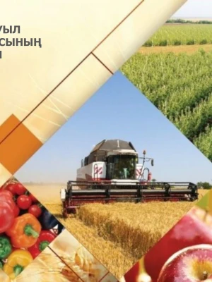 Сельхозтехника для переработки сельхозпродукции